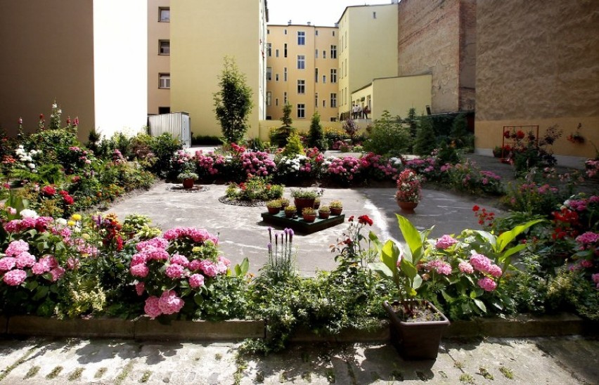 Ogród przy przy ul. Wojciecha