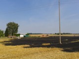 Choszczno - Kolejny pożar na polu