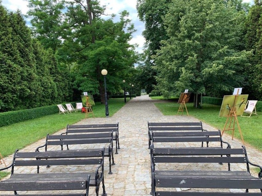 Ogród im. Roberta Kocha w Wolsztynie