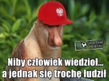 Memy po meczu Polska - Włochy. Reprezentacja spada z Dywizji A Ligi Narodów. Internauci bezlitośni! [ZOBACZ]