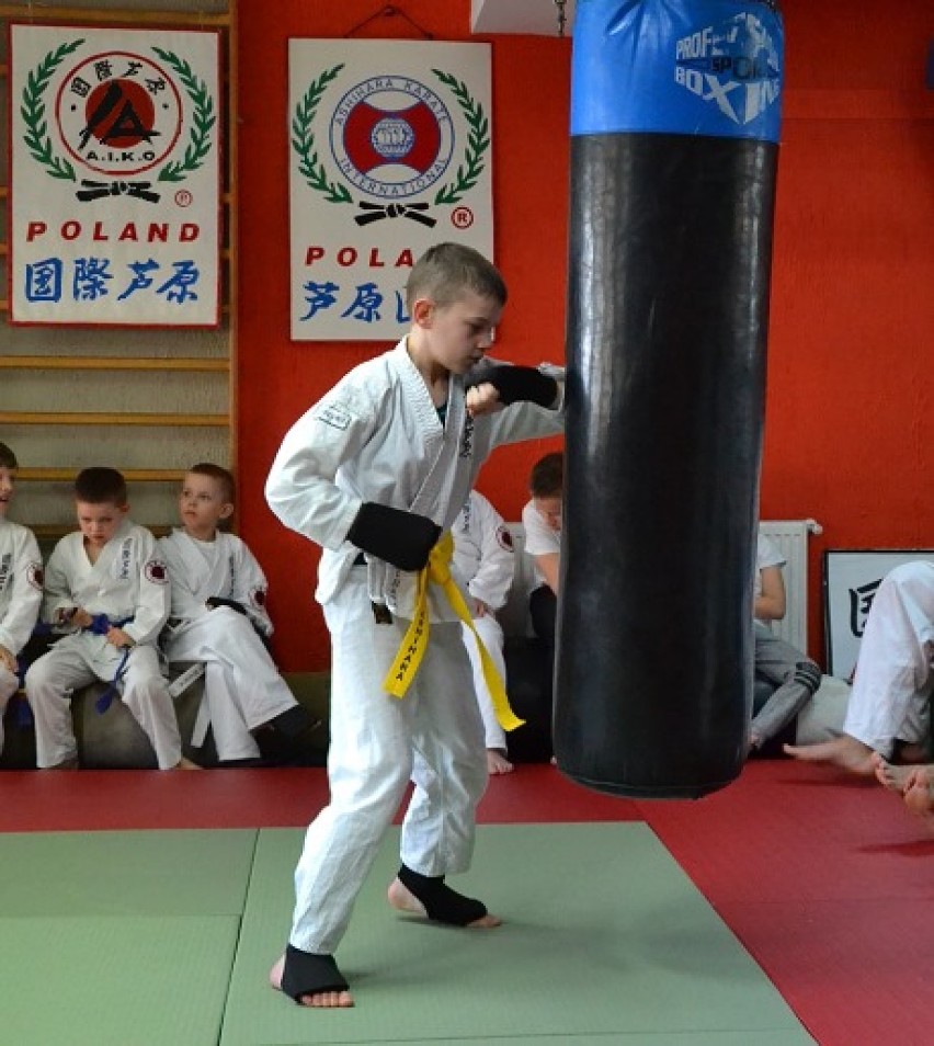 Sukcesy zawodników Klubu Ashihara Karate w Darłowie na wojewódzkim turnieju [ZDJĘCIA]