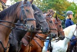 Rajd historyczny wyjechał spod skierniewickiego muzeum [ZDJĘCIA]