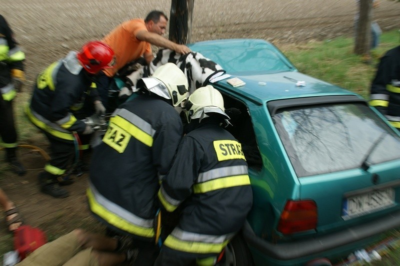 Lubin: Samochód z pięcioma osobami uderzył w drzewo (ZDJĘCIA)