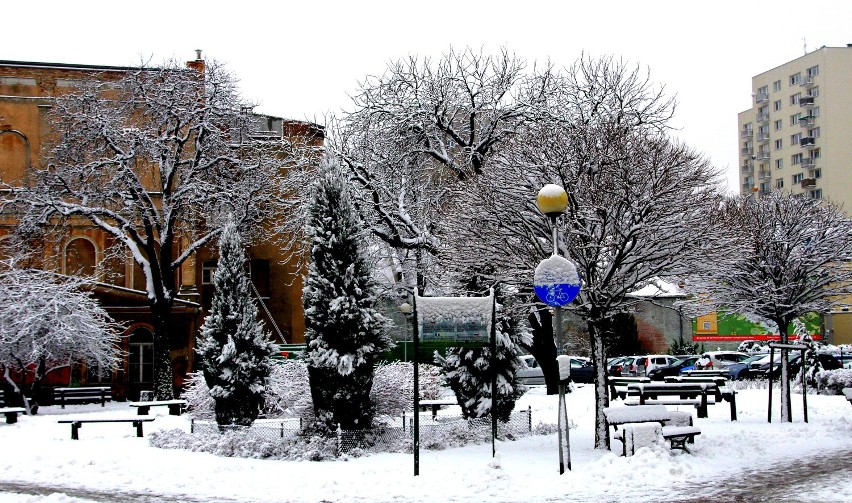 23 stycznia 2015 w Zielonej Górze pojawił się śnieg (zdjęcia)