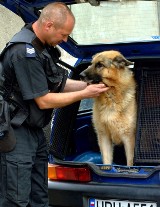 Jarocin: Policyjny pies wytropił uciekiniera w Cielczy
