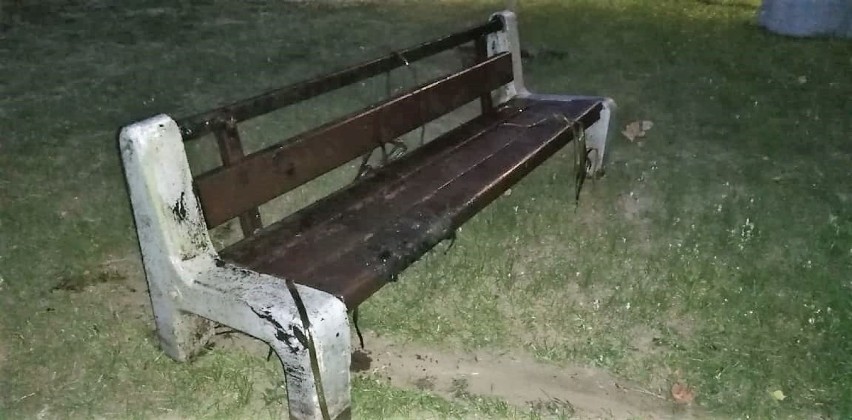 Ktoś wrzucił ławkę i śmietnik do Zgłowiączki w Parku Sienkiewicza we Włocławku [zdjęcia]