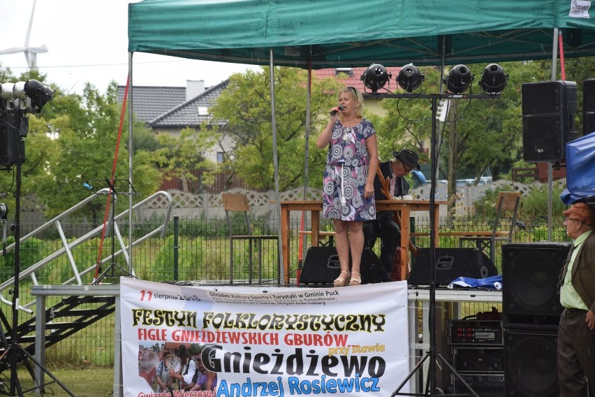 Festyn Folklorystyczny w Gnieżdżewie (sierpień 2018). Na scenie pojawił się Andrzej Rosiewicz | ZDJĘCIA, WIDEO  