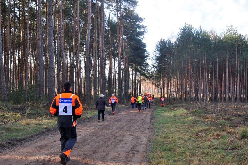 Rogoziniec. VII Mistrzostwa Polski Szkół w Umiejętnościach Leśnych - dzień drugi