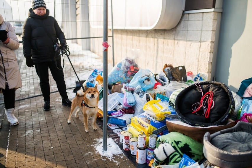 "Karma wraca" w Białymstoku. Pomóż schroniskom dla zwierząt i odbierz choinkę