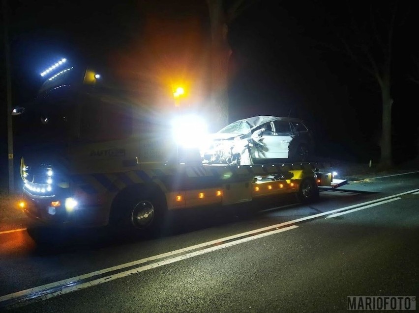 Groźny wypadek na trasie Jaworek - Jaworzno w powiecie oleskim. Opel uderzył w drzewo, kierowca miał ponad 3 promile