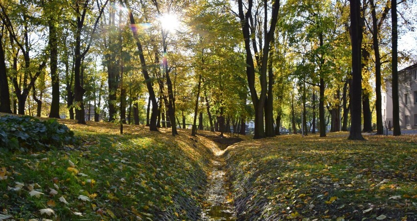 Złota polska jesień w wieluńskim parku Żwirki i Wigury ZDJĘCIA