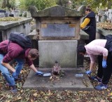 Wisła Kraków. Kibice „Białej Gwiazdy” sprzątali groby i to nie tylko w Krakowie