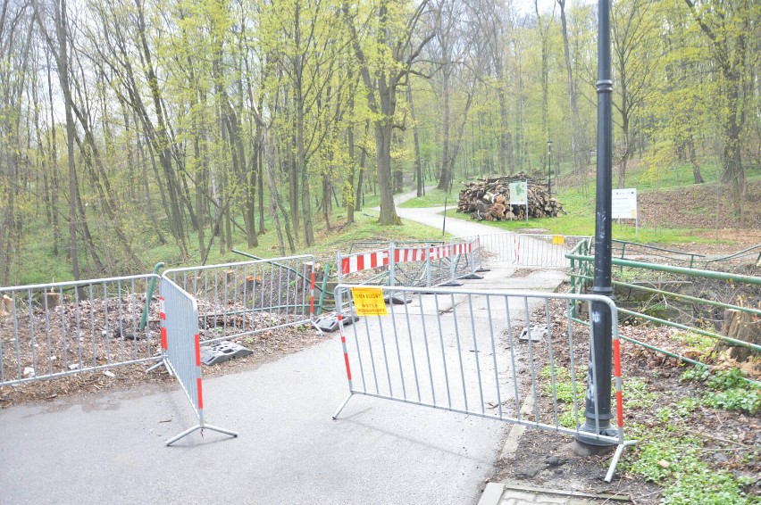 Przebudowa mostu nad Babicą na ul. Parkowej w Bochni,...