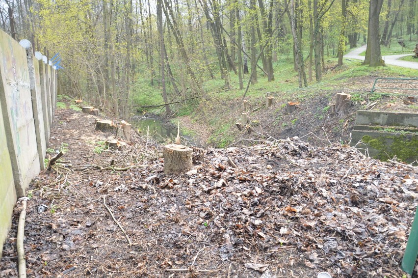 Przebudowa mostu nad Babicą na ul. Parkowej w Bochni,...