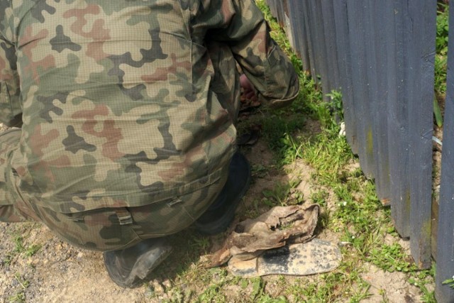 Znalezione kolejne szczątki szkieletu żołnierza w żorskiej dzielnicy Baranowice