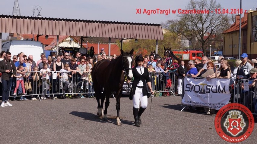 XI AgroTargi w Czarnkowie