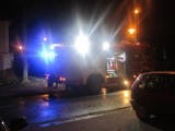 Przewrócona Topola przy ul. Grunwaldzkiej w Ustce. Interwencja strażaków [ZDJĘCIA]