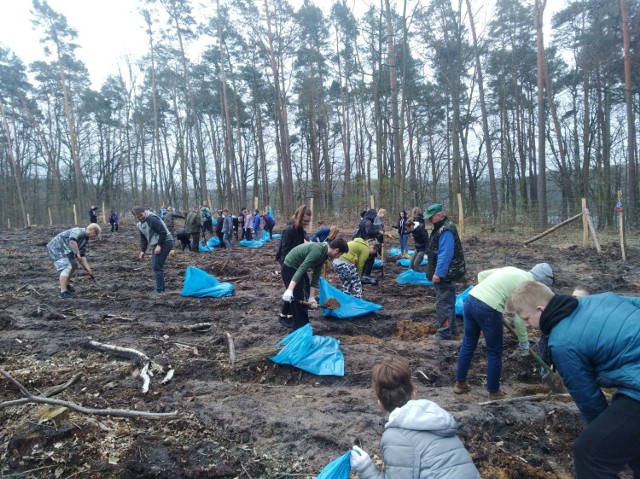 Licealiści sadzili las pod Kolnem - 1800 drzew (14.04.2018)

Na czym polega bushcraft?

