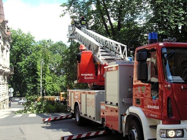 Strażacy wycięli niebezpiecznie zwisające gałęzie
