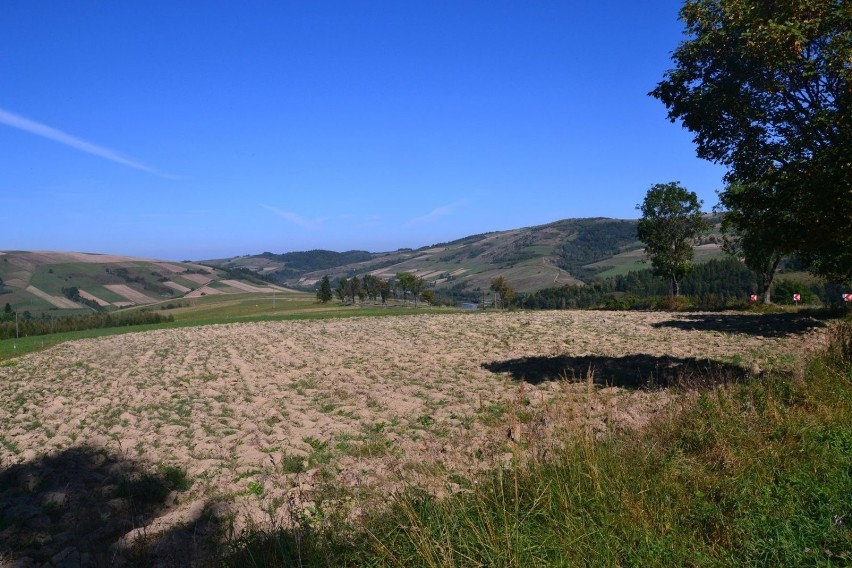 Beskid Niski - szachownica pól, łagodne wzgórza,...