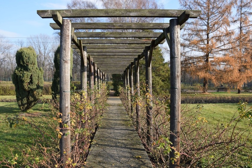 Rosarium Parku Śląskiego w jesiennej odsłonie