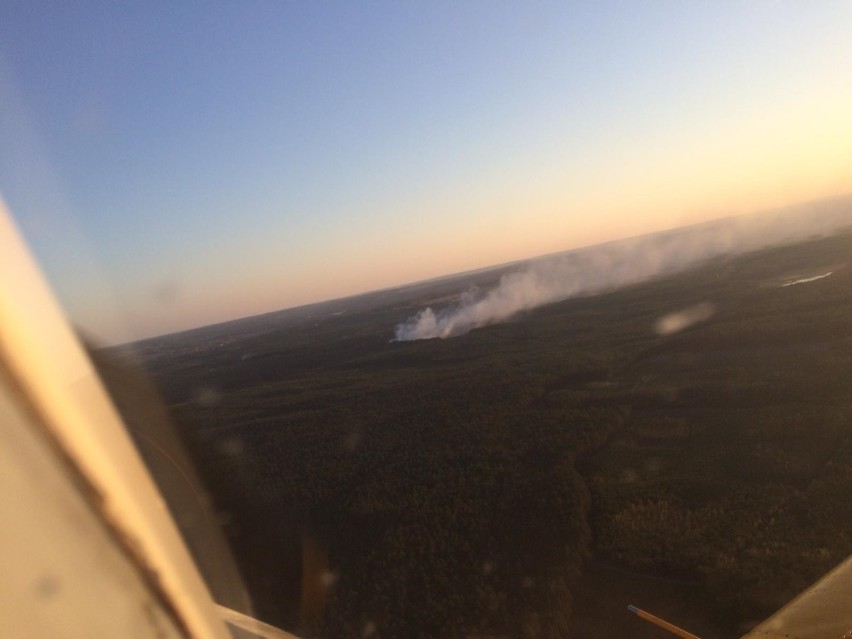 Pożary lasów w naszym województwie. W tym roku było ich już kilkadziesiąt