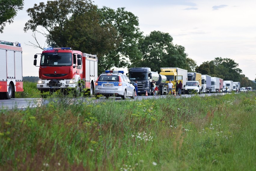 Śmiertelny wypadek na piątce pod Lesznem. Nie żyje mieszkanka Poznania