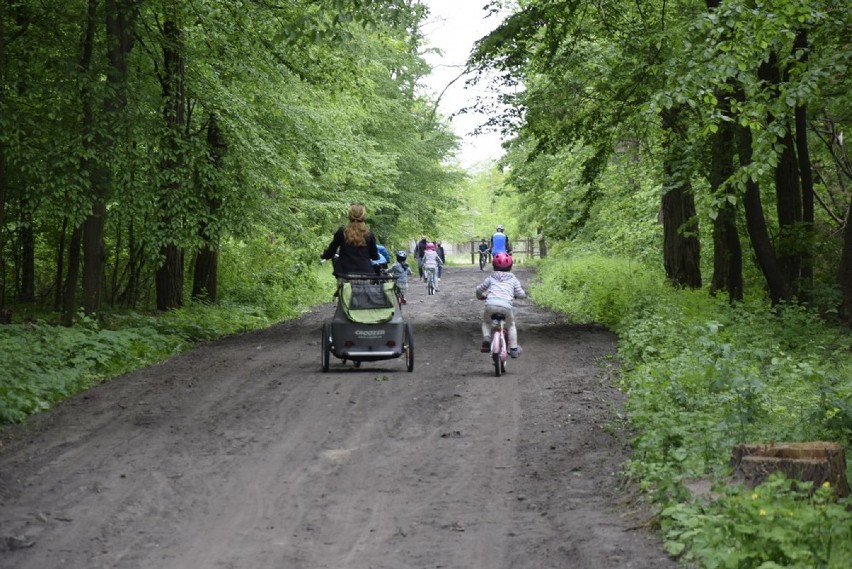 Jest doskonała pogoda na rowerową przejażdżkę – nie za...