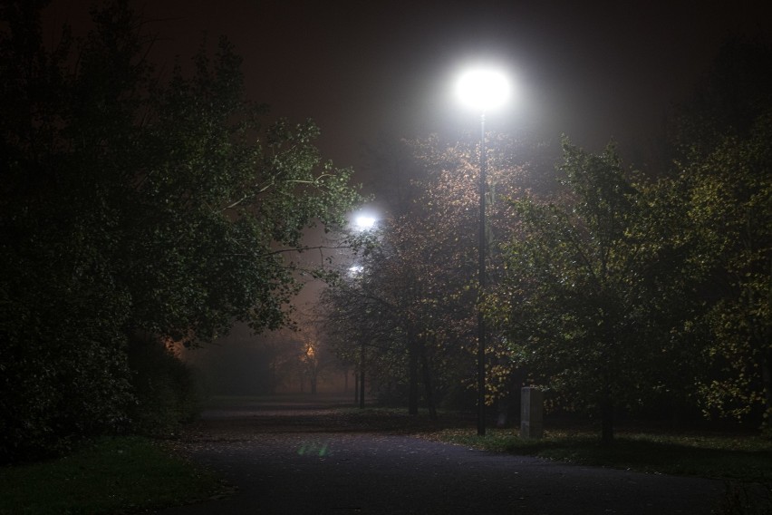 W nocy z niedzieli na poniedziałek Opole spowiła gęsta mgła....