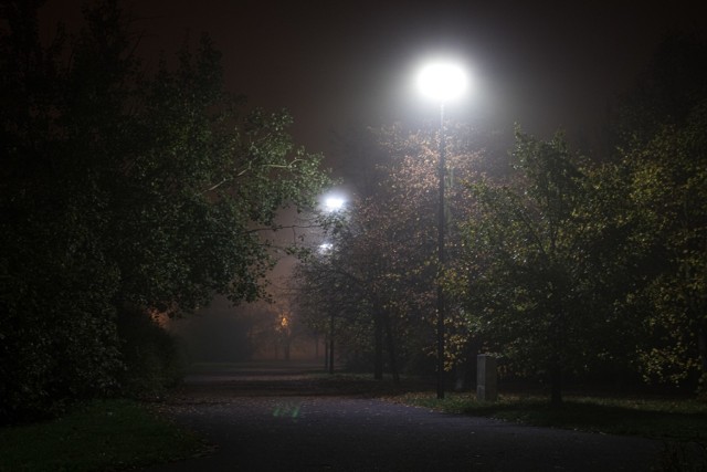 W nocy z niedzieli na poniedziałek Opole spowiła gęsta mgła. Utonęły w niej ulice i parki. Tak było na terenie osiedla im. AK.