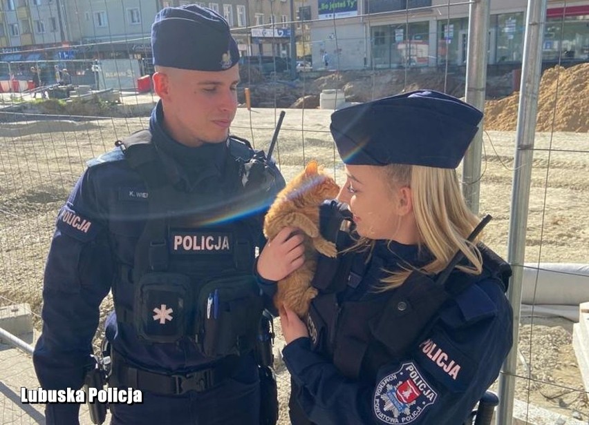 Międzyrzeccy policjanci. Ratują nie tylko ludzi... To...