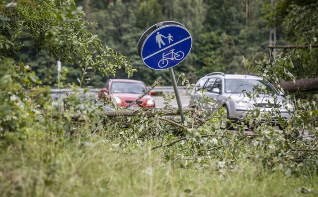 Pomorze po nawałnicy. Tak w niedzielę, 13.08.2017 r. wyglądało Sulęczyno: