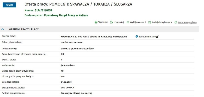 Oferty pracy w Kaliszu i powiecie. Sprawdź, kto może liczyć na zatrudnienie