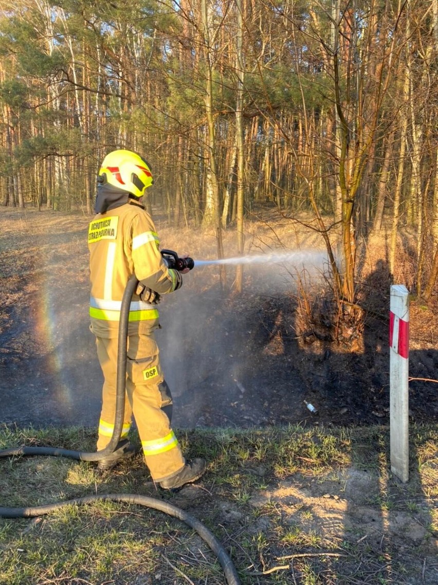 W poniedziałek doszło do pożaru trawy w przydrożnym rowie w miejscowości Stary Olesiec