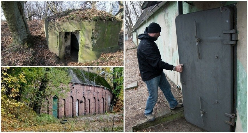 Zobaczcie, gdzie można je znaleźć i jak wyglądają >>>