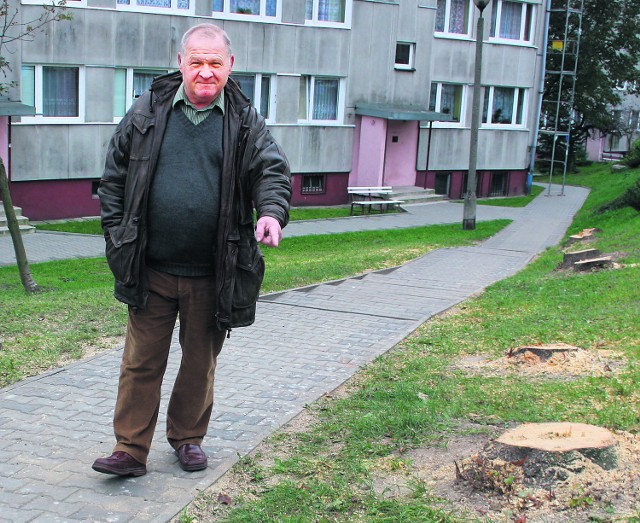 Andrzej Skop pokazuje pieńki, które pozostały po zdrowych lipach