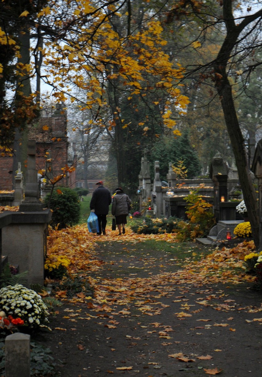 Cmentarz Rakowicki w jesiennej odsłonie