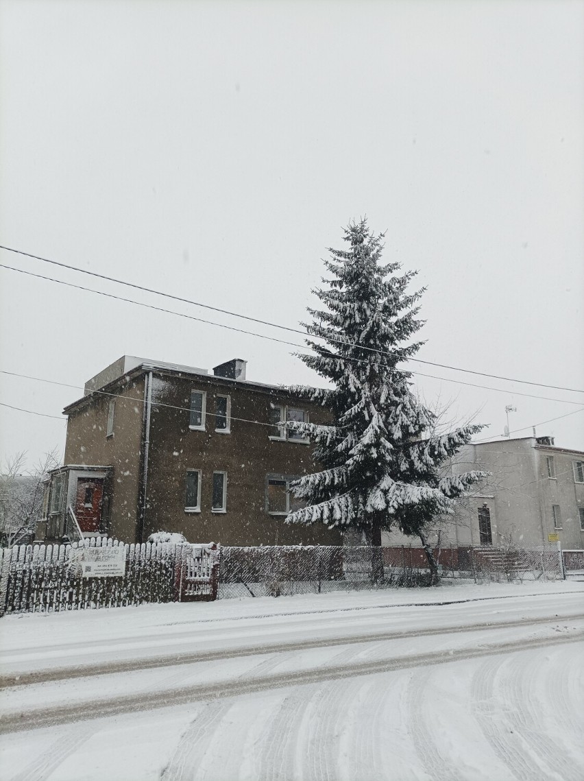 Nowy Dwór Gdański. Był porywisty wiatr i intensywne opady śniegu. Na chwilę wróciła zima | ZDJĘCIA