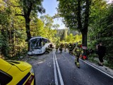 Tragiczny wypadek na Przełęczy Kowarskiej - 14 osób rannych. Autokar z wycieczką wjechał w drzewo. AKTUALIZACJA