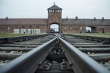 Szef POT odwołany za skandaliczną wypowiedź o Auschwitz