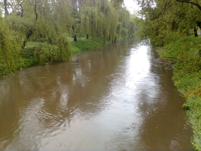 Sosnowiec Park Sielecki Czarna Przemsza