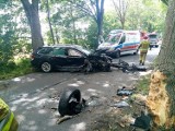 Skodą uderzył - w Darłowie - w drzewo. Dwie osoby zabrane do szpitala. Zdjęcia - 28.06.2023