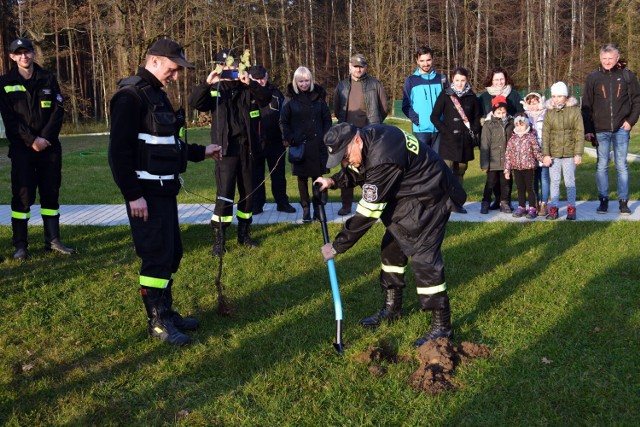 Sadzenie drzew w Kole (gmina Sulejów) z okazji 100-lecia OSP w Polsce