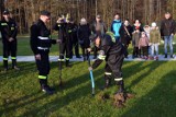 100-lecie OSP: Na terenie osady w Kole posadzili drzewa ZDJĘCIA