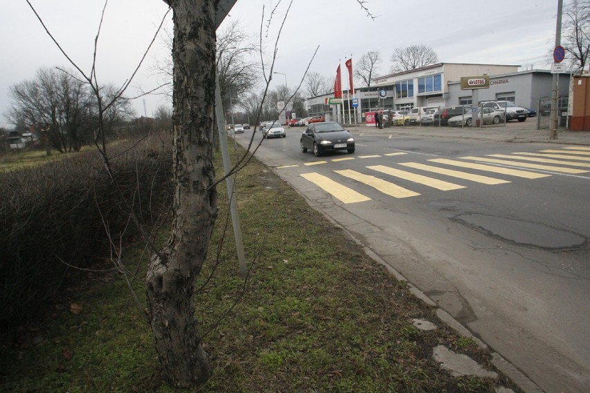 Absurdalne przejście dla pieszych w Legnicy (ZDJĘCIA)