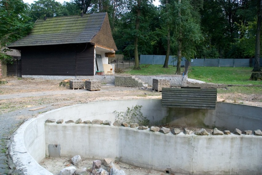 Kraków. Budowa wybiegu dla pingwinów na finiszu [ZDJĘCIA]