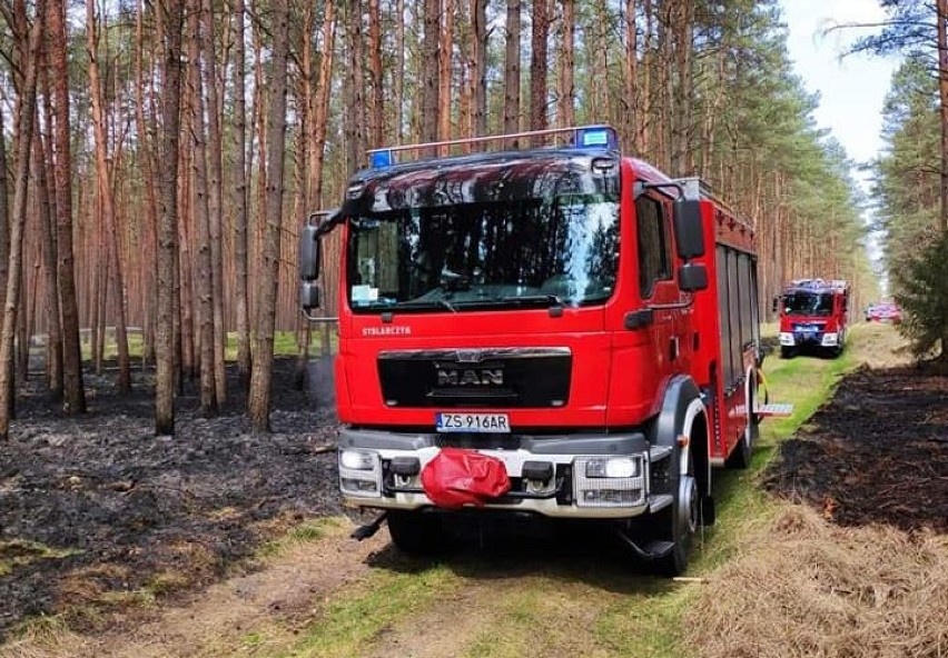 Pożar lasu pod węzłem Rzęśnica. A akcji między innymi dromadery