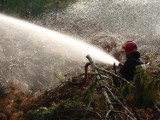 Ogromny pożar lasu w regionie. Prawie trzydzieści zastępów straży w akcji w miejscowości Stara Rzeka w gminie Osie