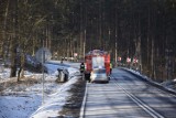 Wypadek koło Miastka 2.03.2018 r. Samochód osobowy wpadł do rowu na drodze krajowej nr 21 [zdjęcia, wideo]
