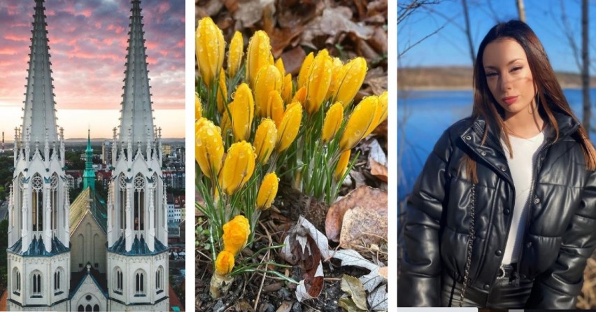 Prawdziwa wiosna w Zgorzelcu i Gorlitz. Zobacz zachwycające zdjęcia na Instagramie